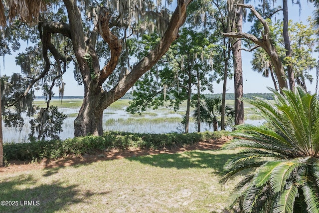4 Tabby Point Ln, Okatie, SC 29909 - photo 7