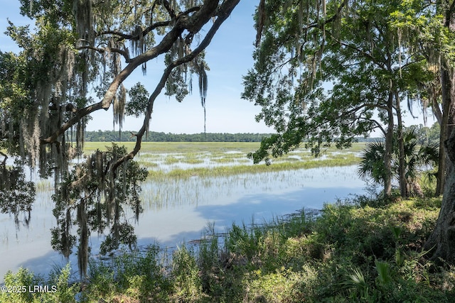 4 Tabby Point Ln, Okatie, SC 29909 - photo 8