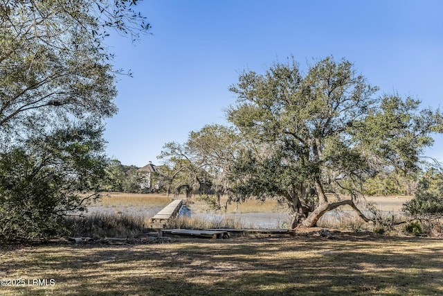 77 Tuscarora Ave, Beaufort, SC 29907 - view of yard