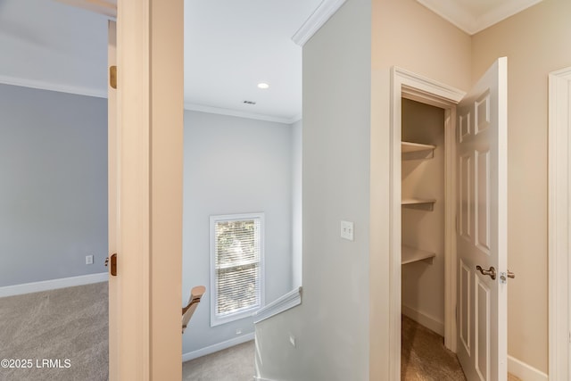 77 Tuscarora Ave, Beaufort, SC 29907 - corridor featuring ornamental molding, baseboards, recessed lighting, and carpet