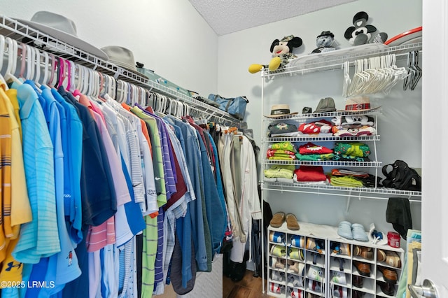 walk in closet featuring wood finished floors