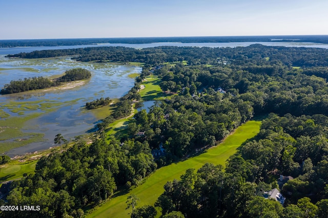 bird's eye view with a view of trees and a water view