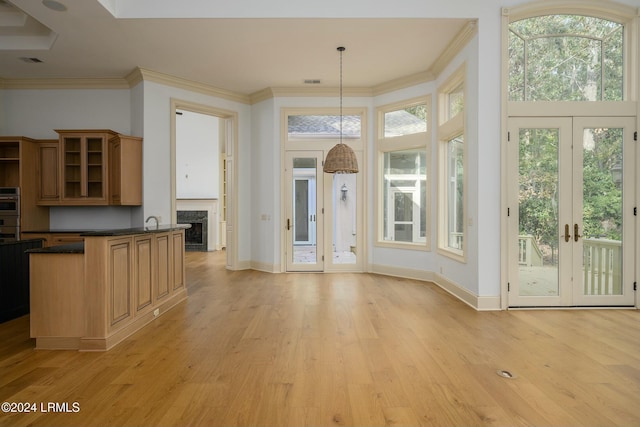 interior space with ornamental molding, a healthy amount of sunlight, and light hardwood / wood-style floors