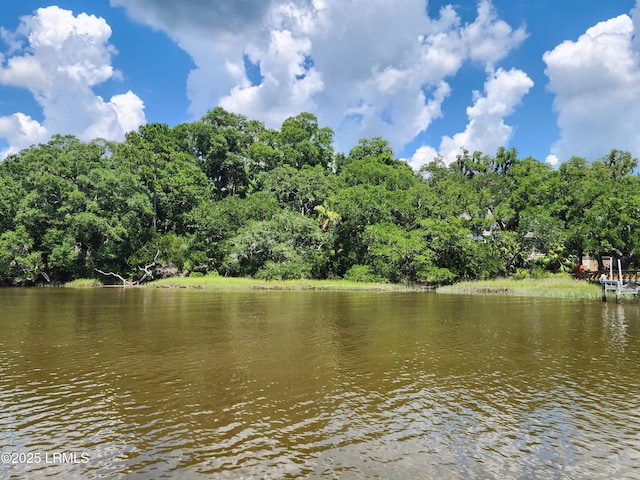 200 Bull Point Dr, Seabrook, SC 29940 - photo 1