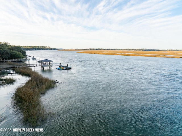 property view of water