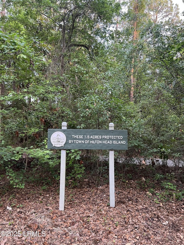123 Sandcastle Ct, Hilton Head Island, SC 29928 - exterior view of a forest