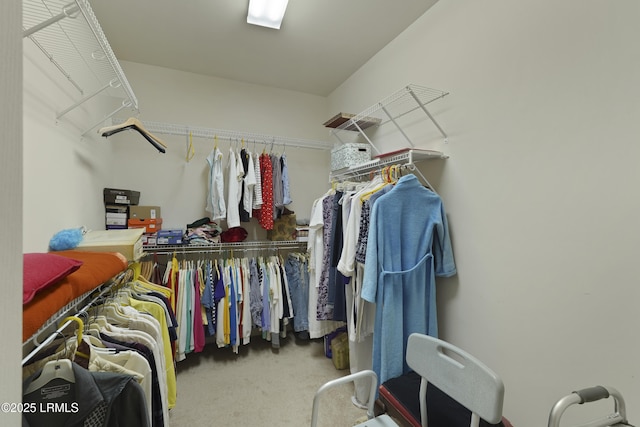 509 Nautical Ln, Okatie, SC 29909 - spacious closet with carpet floors