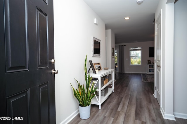 corridor featuring dark hardwood / wood-style floors