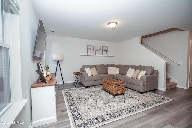 living room featuring wood-type flooring