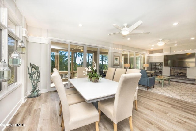 dining area featuring ceiling fan and light wood-type flooring