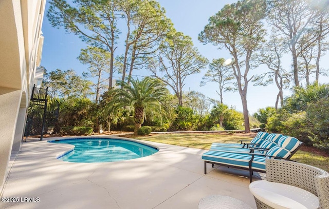 view of swimming pool featuring a patio area