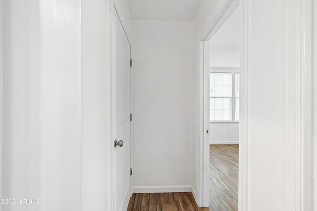 hallway featuring dark hardwood / wood-style floors