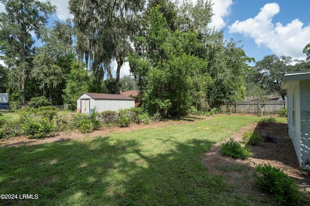 view of yard with a storage shed