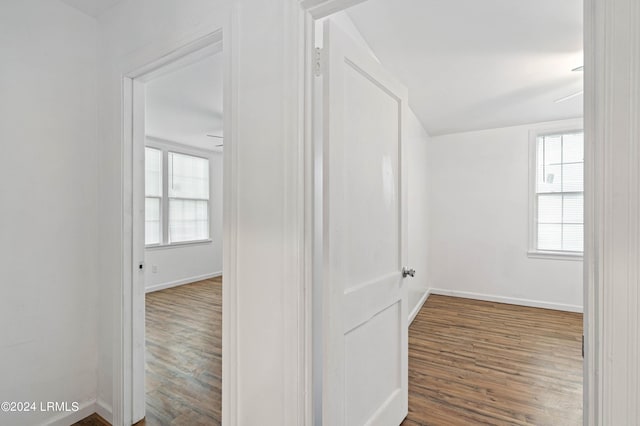 interior space with dark wood-type flooring