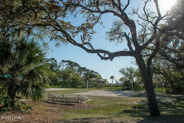 view of community with volleyball court and a lawn