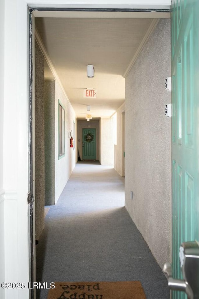 hallway featuring crown molding, carpet, and a textured wall