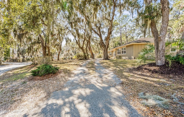 view of street with driveway