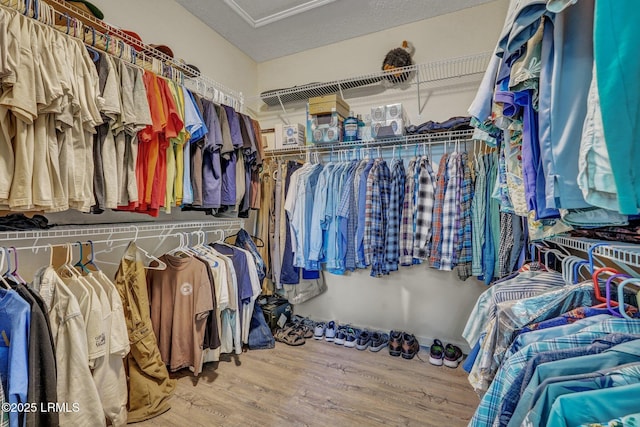 spacious closet featuring attic access and wood finished floors