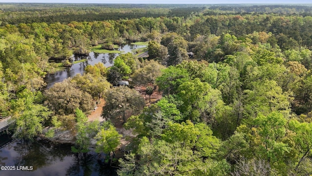 16703 Hendersonville Hwy, Yemassee, SC 29945 - photo 15