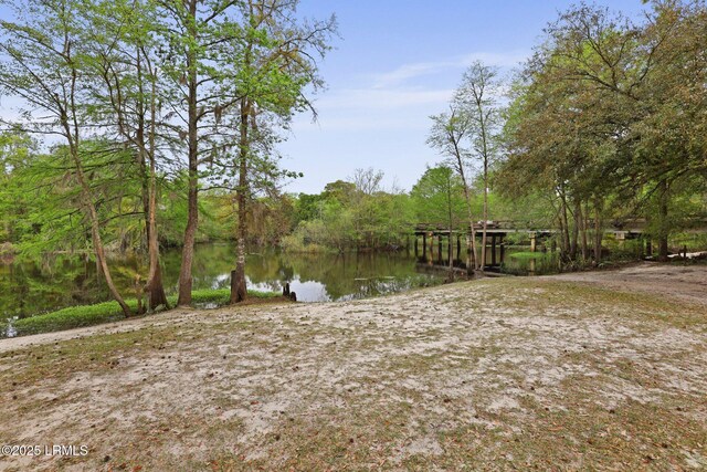 16703 Hendersonville Hwy, Yemassee, SC 29945 - photo 35