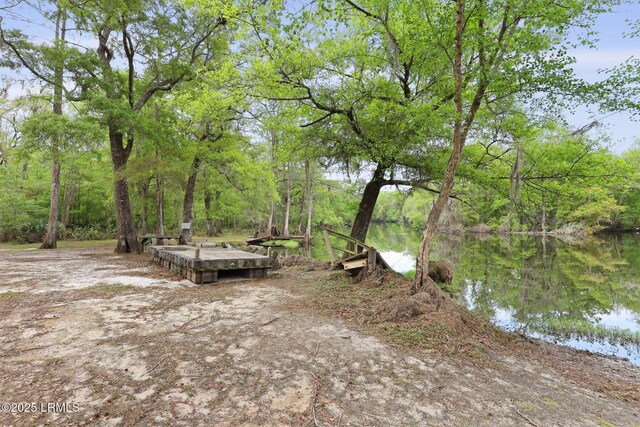 16703 Hendersonville Hwy, Yemassee, SC 29945 - photo 45