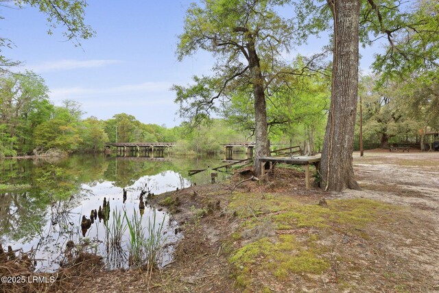 16703 Hendersonville Hwy, Yemassee, SC 29945 - photo 44