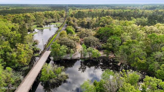 16703 Hendersonville Hwy, Yemassee, SC 29945 - photo 6