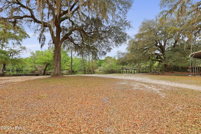 16703 Hendersonville Hwy, Yemassee, SC 29945 - photo 34
