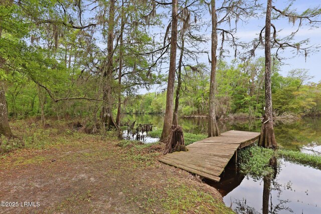 16703 Hendersonville Hwy, Yemassee, SC 29945 - photo 42