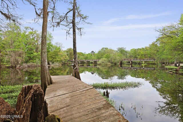 16703 Hendersonville Hwy, Yemassee, SC 29945 - photo 43