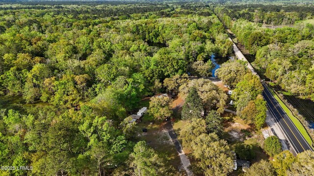 16703 Hendersonville Hwy, Yemassee, SC 29945 - photo 10