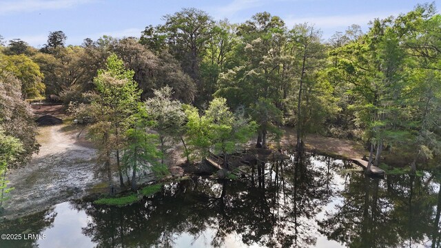 16703 Hendersonville Hwy, Yemassee, SC 29945 - photo 13