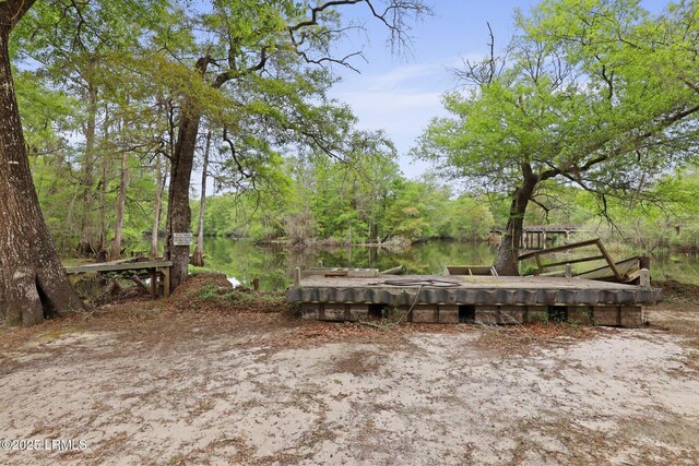 16703 Hendersonville Hwy, Yemassee, SC 29945 - photo 37