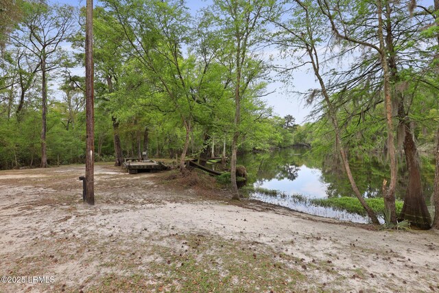 16703 Hendersonville Hwy, Yemassee, SC 29945 - photo 36