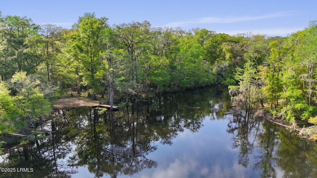 16703 Hendersonville Hwy, Yemassee, SC 29945 - photo 14