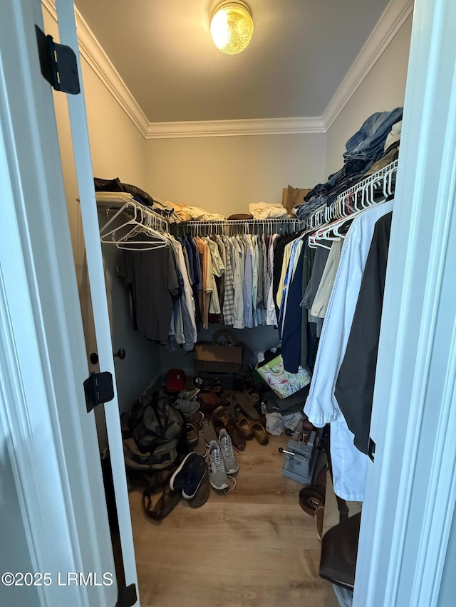 189 Deloss Point Rd, Ridgeland, SC 29936 - walk in closet featuring wood finished floors