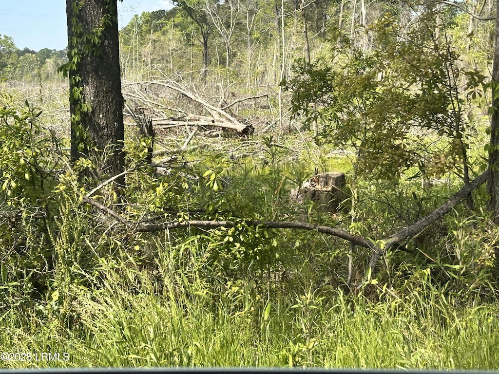 00 Lowcountry Dr, Ridgeland, SC 29936 - photo 1