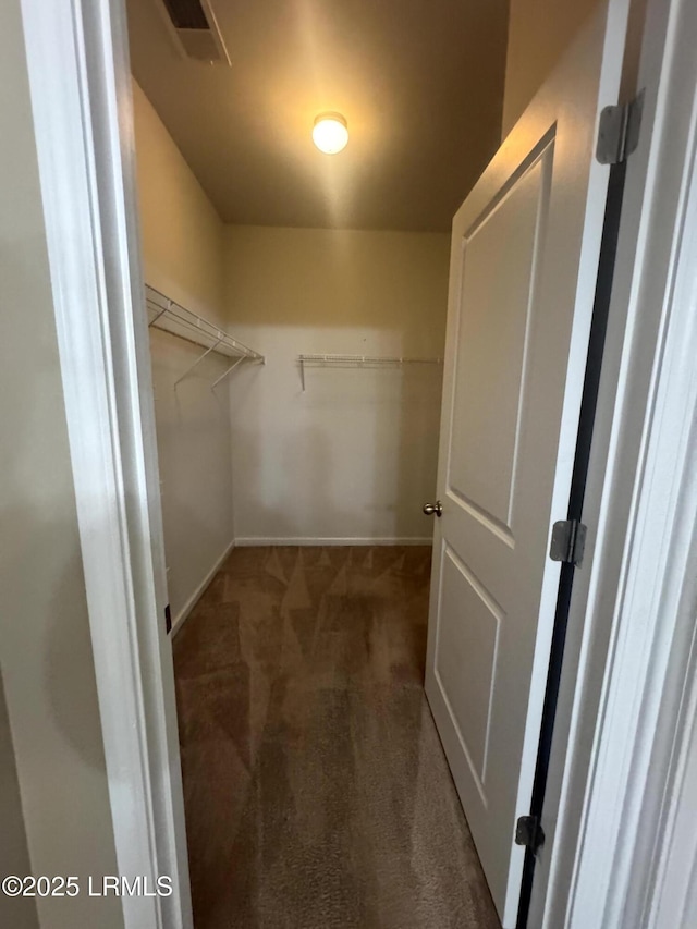 spacious closet featuring visible vents and carpet flooring