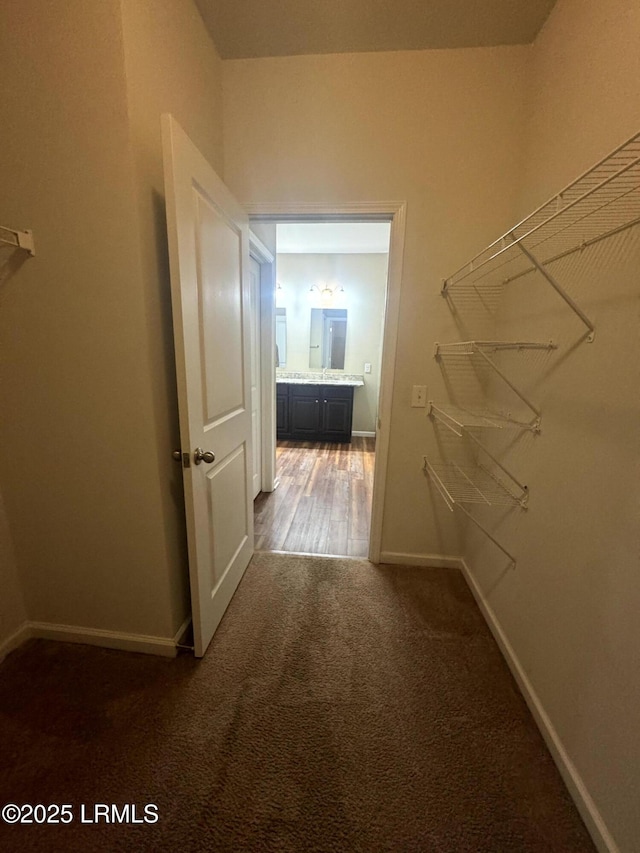 spacious closet featuring carpet