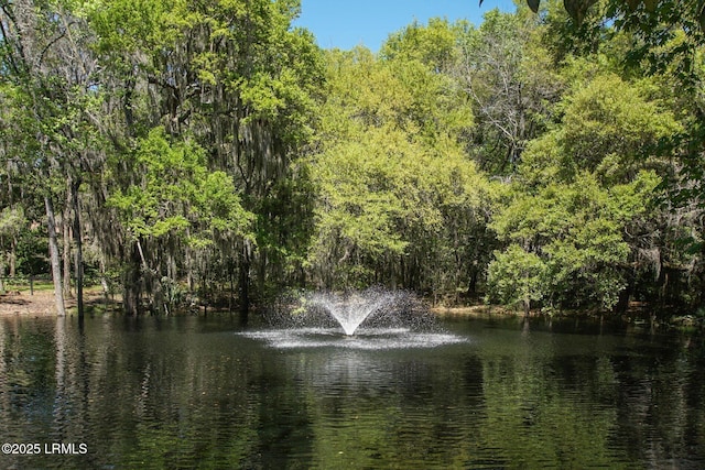 water view featuring a forest view