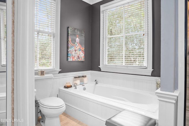 full bath with toilet, a wainscoted wall, and a garden tub