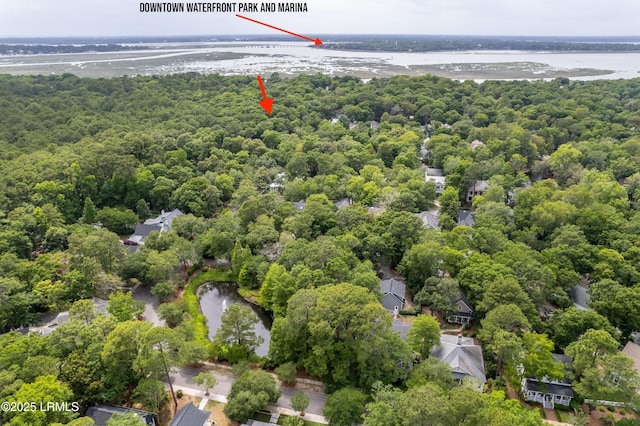 bird's eye view featuring a water view and a wooded view