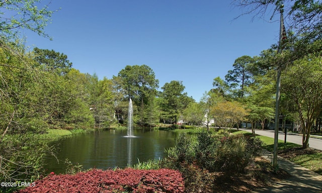 view of property's community with a water view