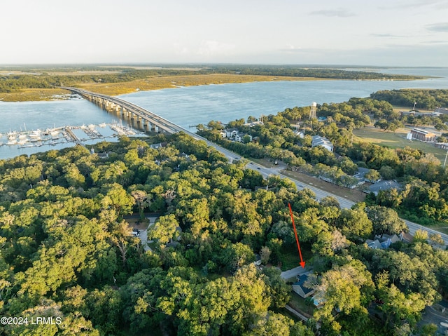 1319 H E Smalls Ct, Port Royal, SC 29935