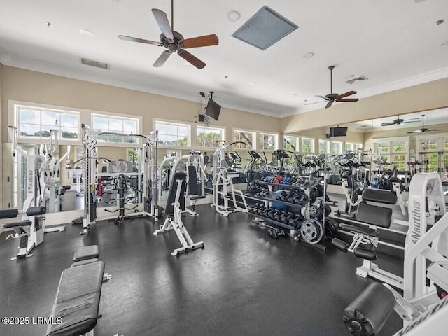 workout area featuring ornamental molding, a wealth of natural light, and visible vents