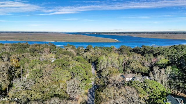 611 Ashdale Dr, Beaufort, SC 29907 - photo 46
