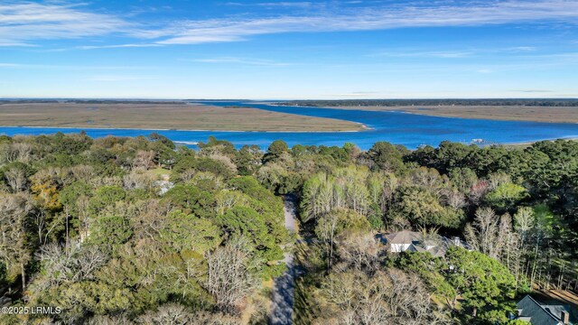 611 Ashdale Dr, Beaufort, SC 29907 - photo 42