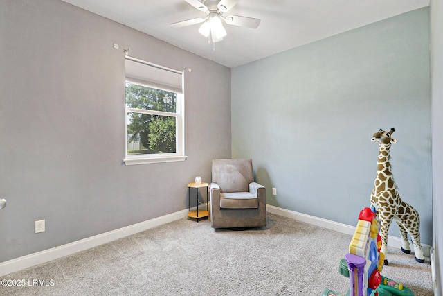 21 Wintergreen Dr, Beaufort, SC 29906 - photo 21