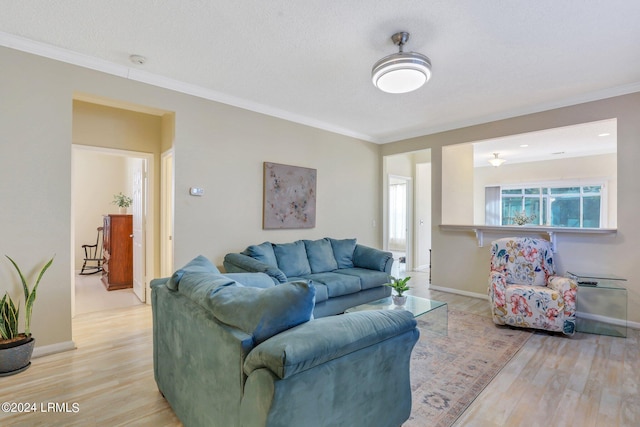 living room featuring crown molding, a textured ceiling, and light wood-type flooring