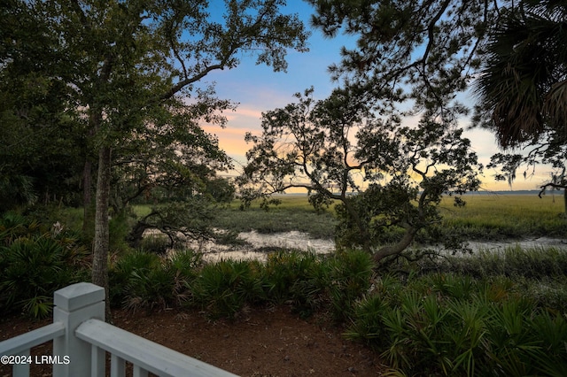 yard at dusk with a rural view